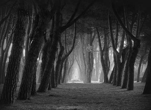  Foto vincitrice categoria emozione Concorso L'emozione di vedere... i contrasti