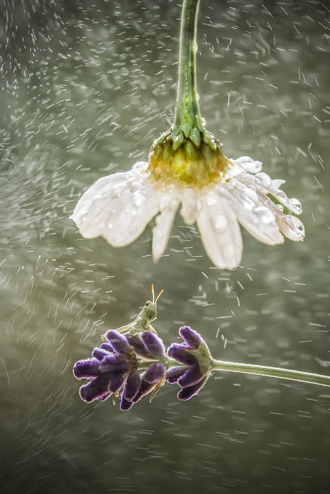  Foto vincitrice categoria originalità Concorso L'emozione di vedere... i colori