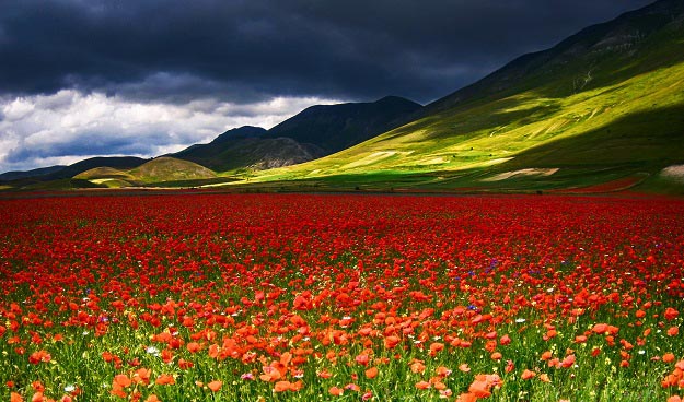  Foto vincitrice categoria tecnica Concorso L'emozione di vedere... i colori