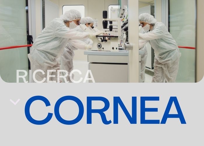 cornea cornea