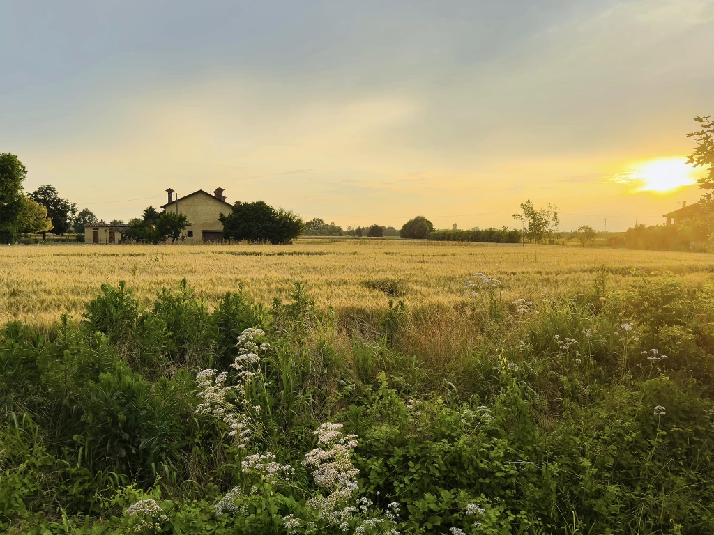 Piazzola sul Brenta, Tramonti. Foto di Carlo Mion Piazzola sul Brenta, Tramonti. Foto di Carlo Mion